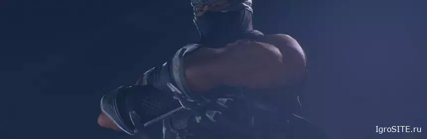 Обзор игры: NINJA GAIDEN 2 BLACK
