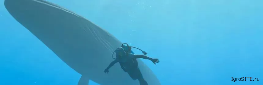 Обзор игры: ENDLESS OCEAN LUMINOUS