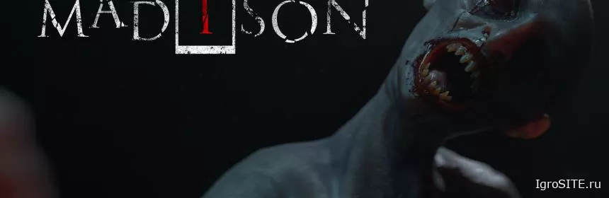 Обзор игры: MADISON