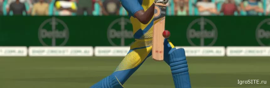 Обзор игры: CRICKET 22