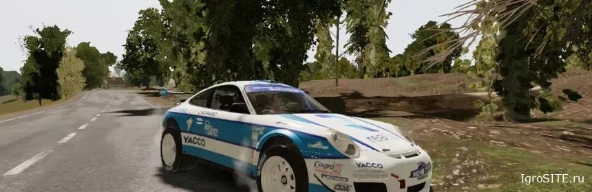 Обзор игры: WRC 9 (SWITCH)