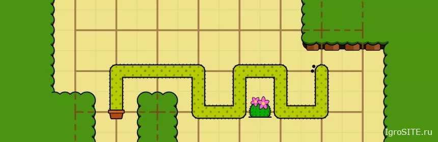 Обзор игры: ROOM TO GROW