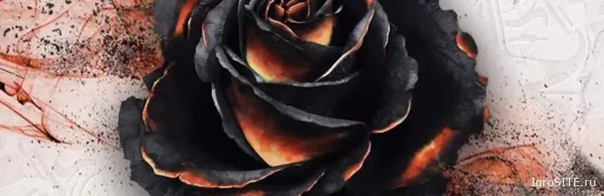 TABLETOP Обзор игры: BLACK ROSE WARS