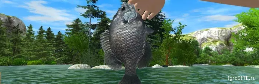 Обзор игры: REEL FISHING: ROAD TRIP ADVENTURE