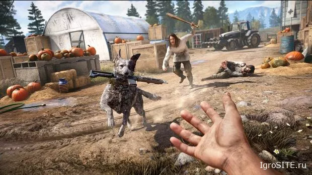 Far Cry 5 взлетела: лучший старт в серии и второй по величине запуск Ubisoft