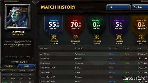 Разработчики Warcraft 3: Reforged показали превью профилей игроков
