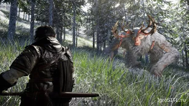 Crimson Desert, одиночный спин-офф Black Desert, отложен на неопределенный срок.