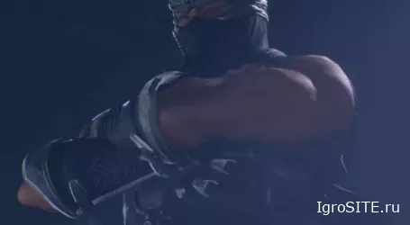 Обзор игры: NINJA GAIDEN 2 BLACK