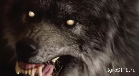 Обзор игры: WEREWOLF: THE APOCALYPSE – EARTHBLOOD