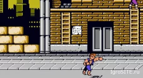 Обзор игры: DOUBLE DRAGON & KUNIO-KUN RETRO BRAWLER BUNDLE