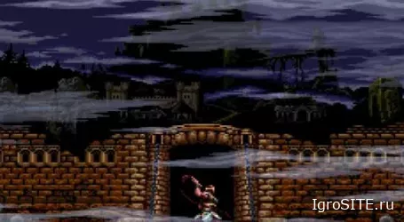 Обзор игры: CASTLEVANIA ANNIVERSARY COLLECTION