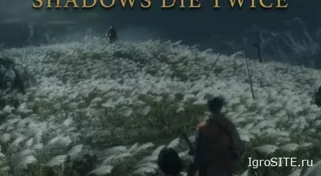 Обзор игры: SEKIRO: SHADOWS DIE TWICE