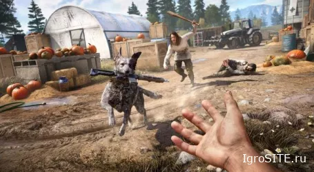 Far Cry 5 взлетела: лучший старт в серии и второй по величине запуск Ubisoft