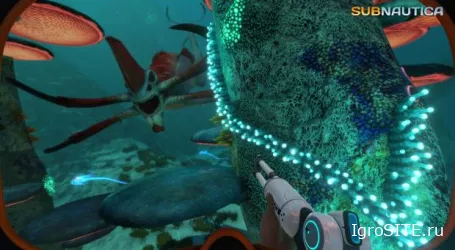 Epic Games Store будет раздавать бесплатные игры каждые две недели, начиная с Subnautica 14 декабря.